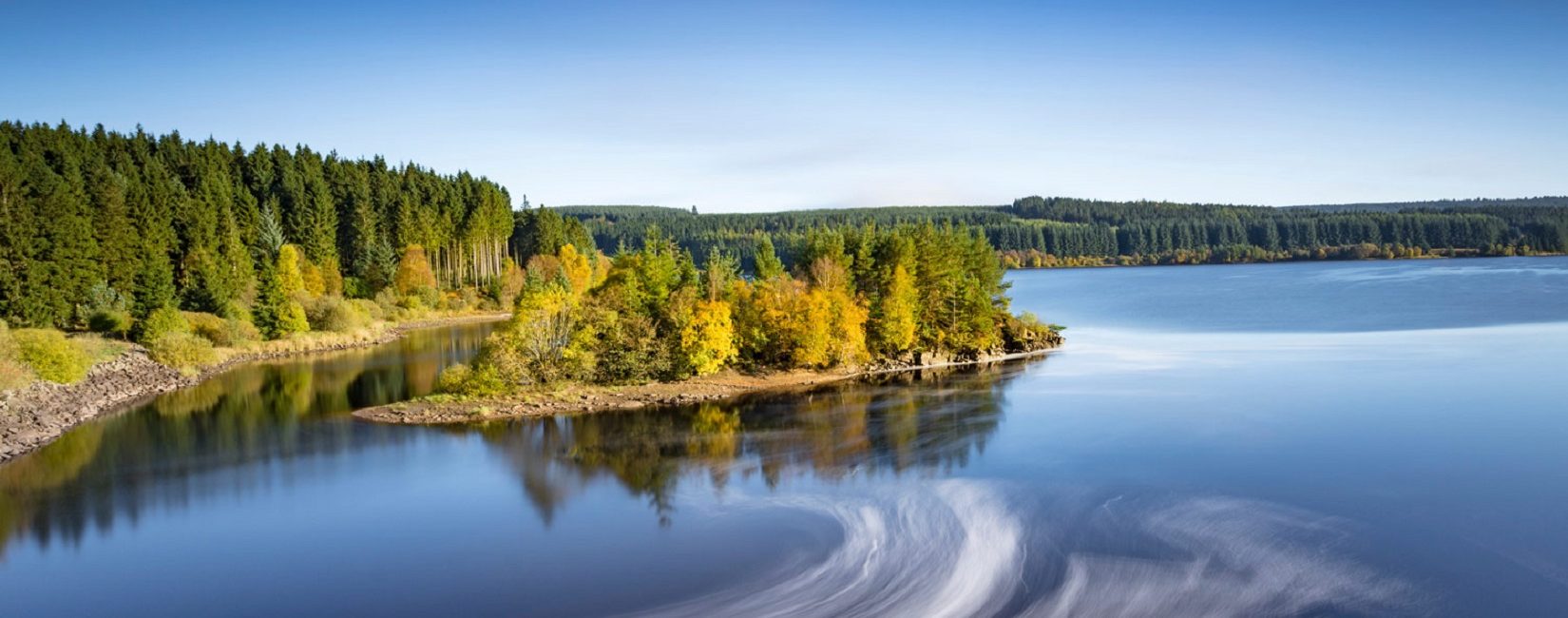 Forest-Kielder