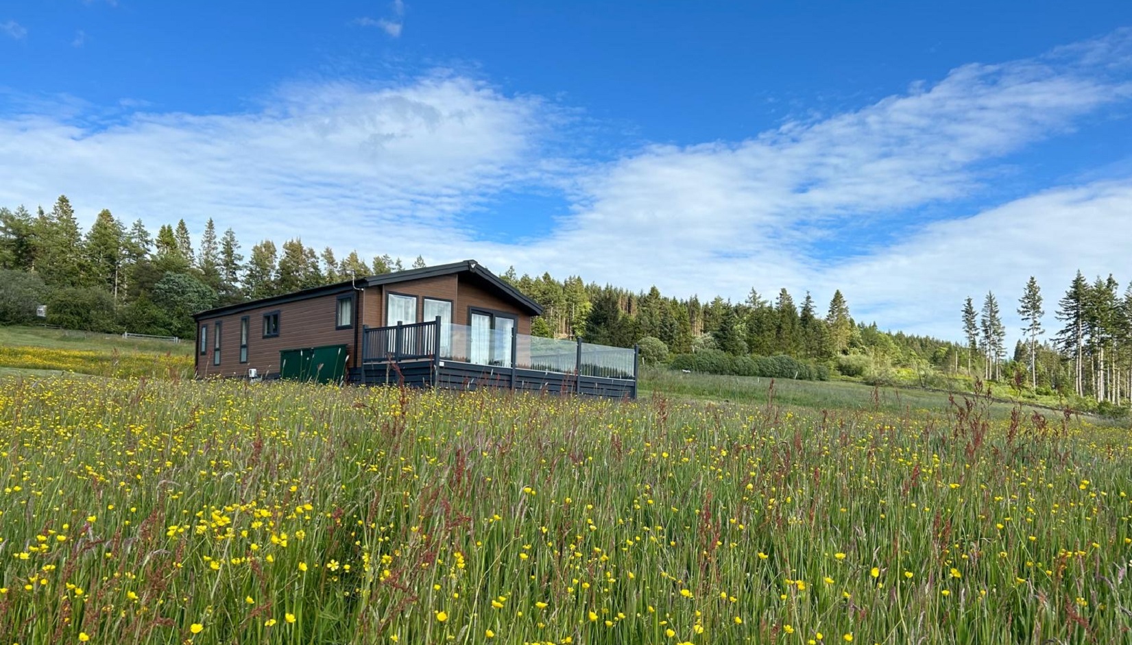 forest view holiday park northumberland